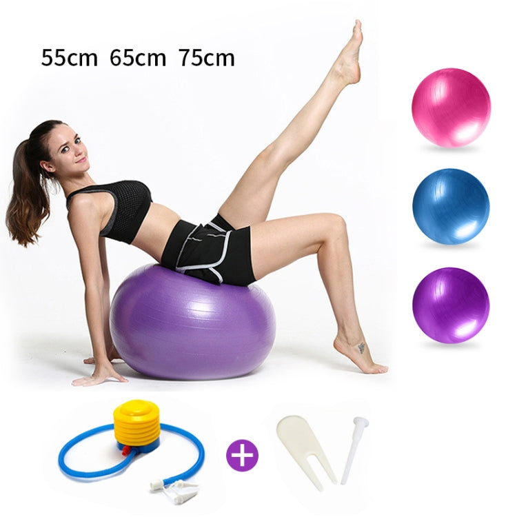 Thickening Explosion-proof Big Yoga Ball Sport Fitness Ball Environmental Pregnant Yoga Ball, Diameter: 65cm, 65cm(Purple), 65cm(Pink), 65cm(Blue)