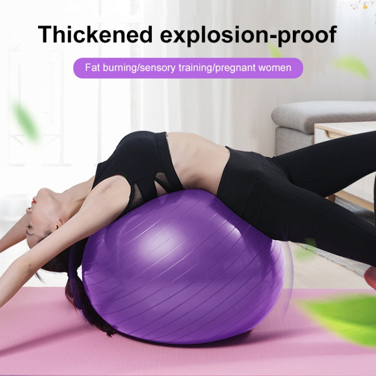 Thickening Explosion-proof Big Yoga Ball Sport Fitness Ball Environmental Pregnant Yoga Ball, Diameter: 65cm, 65cm(Purple), 65cm(Pink), 65cm(Blue)