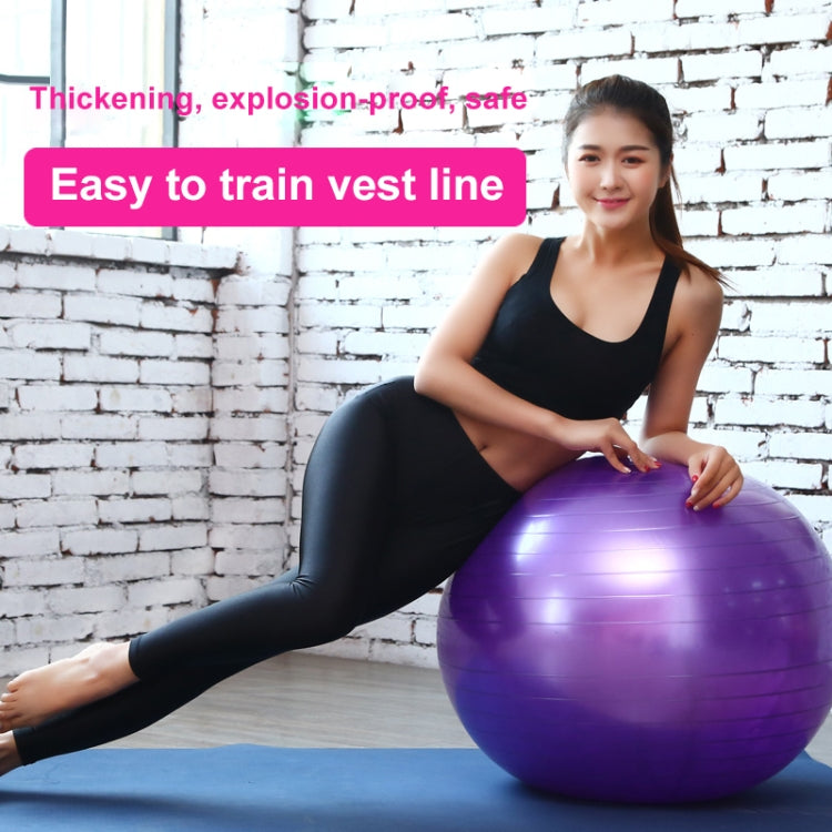 Thickening Explosion-proof Big Yoga Ball Sport Fitness Ball Environmental Pregnant Yoga Ball, Diameter: 65cm, 65cm(Purple), 65cm(Pink), 65cm(Blue)