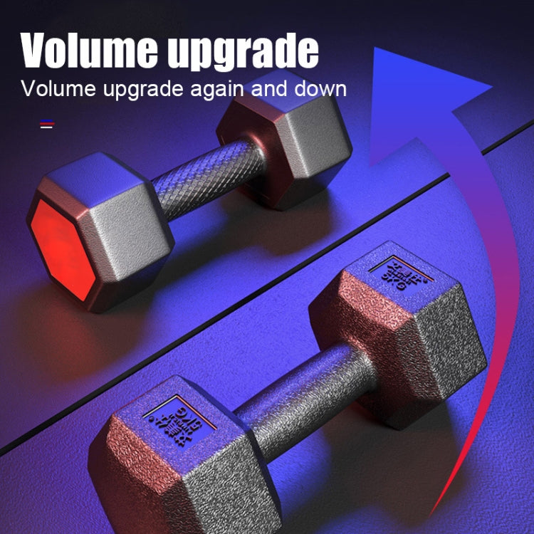6KG A Pair Household Glue Fitness Hexagon Dumbbells, 6KG