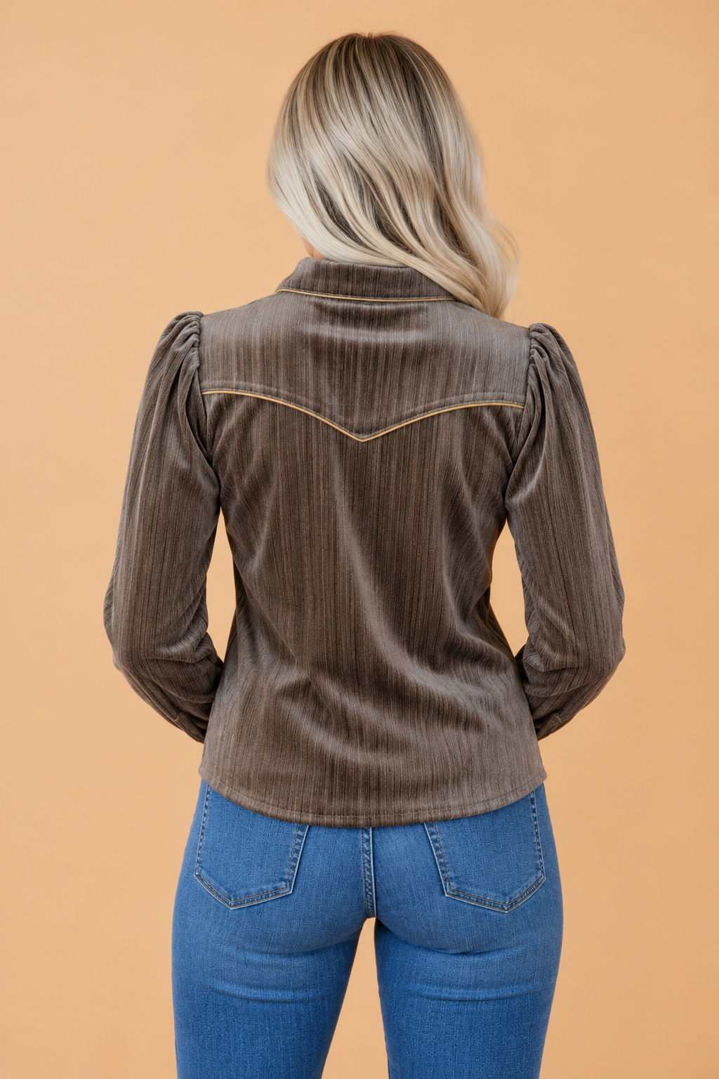 Western Embroidered Velvet Puff Sleeve Buttoned Shirt
