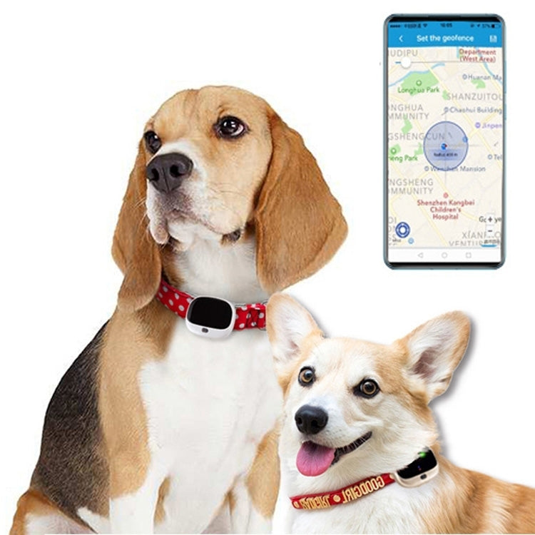 RF-V43 B Style IP67 Waterproof GPS + LBS + WiFi Pet Locator Pet Collar Tracking Device For North America/South America(White)