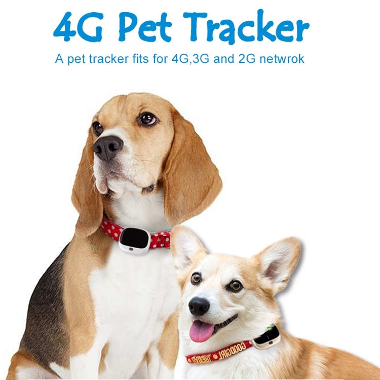 RF-V43 B Style IP67 Waterproof GPS + LBS + WiFi Pet Locator Pet Collar Tracking Device For North America/South America(White)