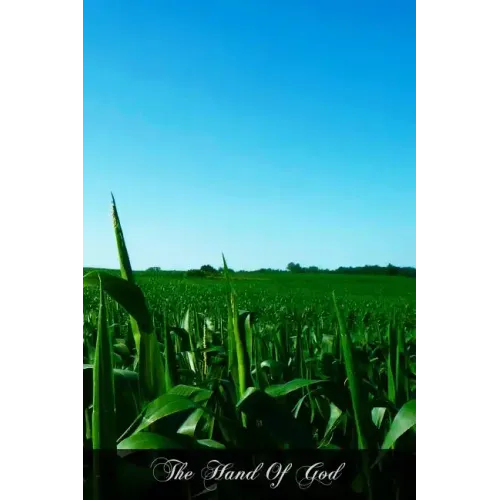 The Hand Of God: A Theology For The People