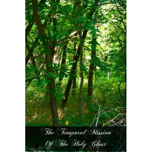 The Temporal Mission Of The Holy Ghost: Reason And Revelation