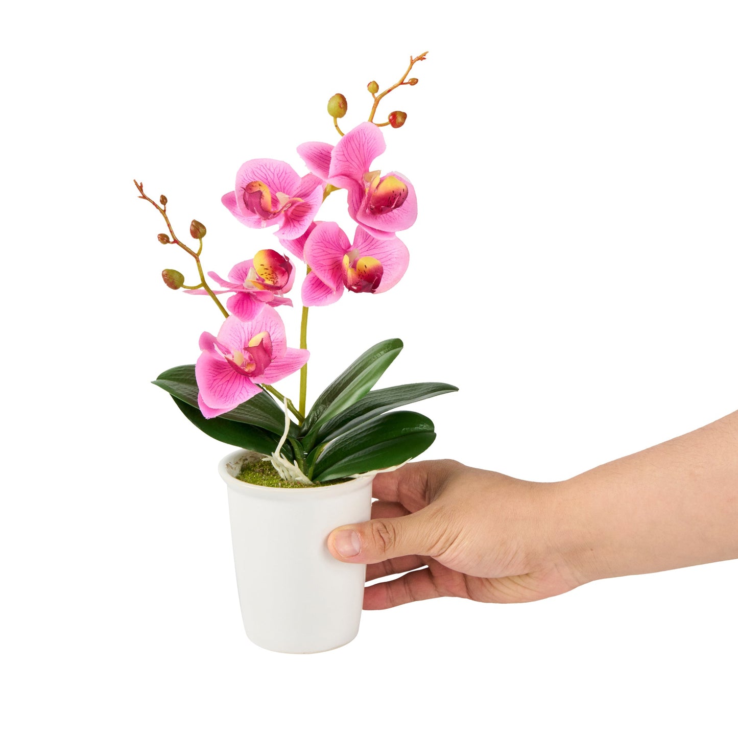Fiore Round Purple Plastic Orchid in Porcelain Pot - 5 Blooms - 4" x 4" x 14" - 12 count box