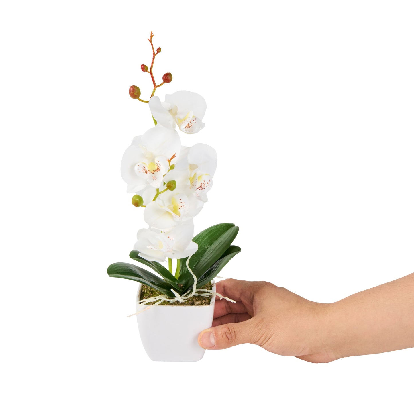 Fiore White Plastic Orchid in Plastic Pot - 5 Blooms - 4" x 4" x 13" - 12 count box
