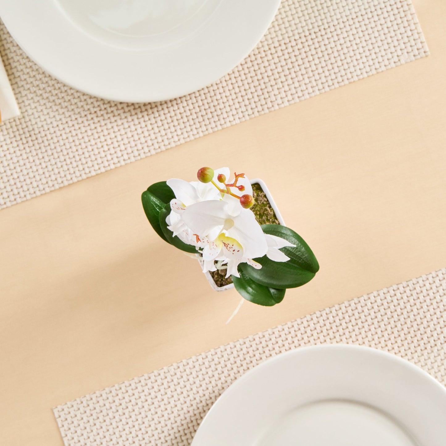 Fiore White Plastic Orchid in Plastic Pot - 5 Blooms - 4" x 4" x 13" - 12 count box
