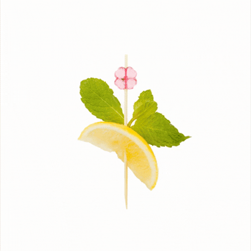 Pixy Assorted Bamboo Acrylic Flower Pick - 4" x 1/2" - 1000 count box