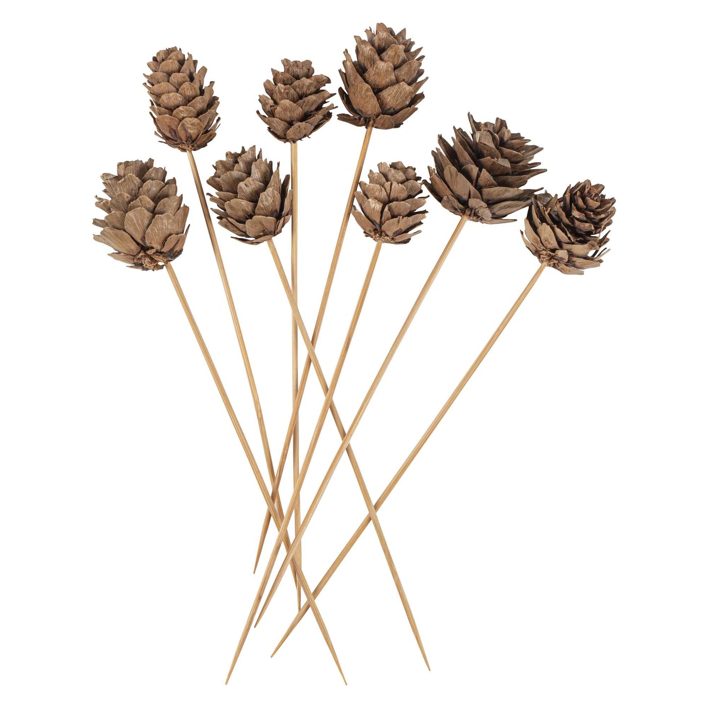 Pixy Natural Bamboo Mini Pine Cone Skewer - 6" x 3/4" x 3/4" - 500 count box