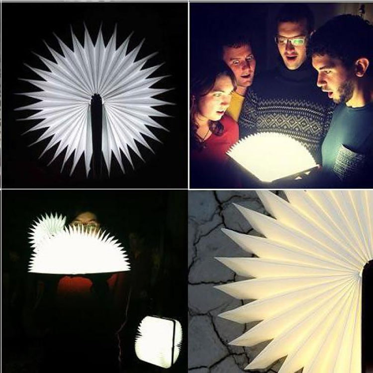 FS-LED01 500 lumens , wooden Material