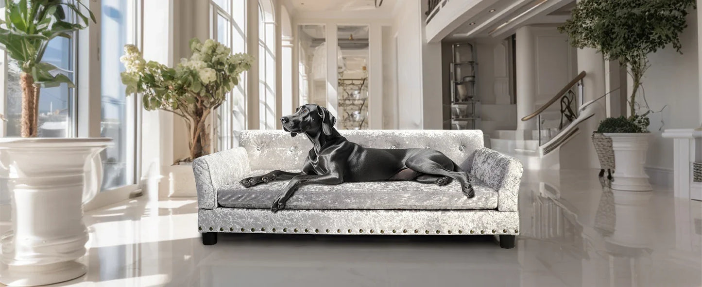Luxury Velvet Tufted Dog Sofa Bed Large Elevated Pet Bed Upholstered Cushion Wooden Frame Raised Puppy Sofa Couch