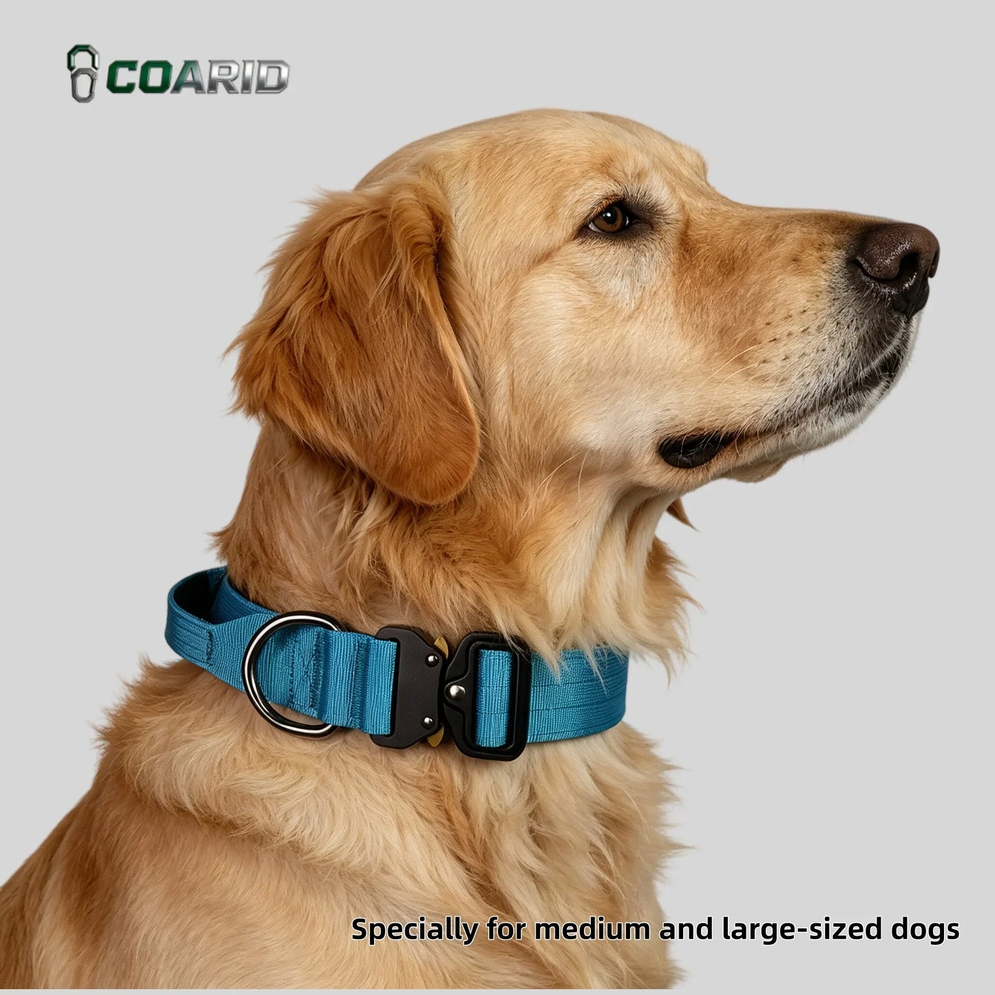 Padded Tactical Dog Collar Heavy Duty, Soft Neoprene Adjustable Nylon with Metal Buckle for Large Medium Dogs