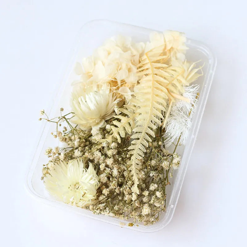 1Box Dried Flowers Dry Plants for Epoxy Resin Casting Mold DIY Aromatherapy Candle Molds Crafts Accessories