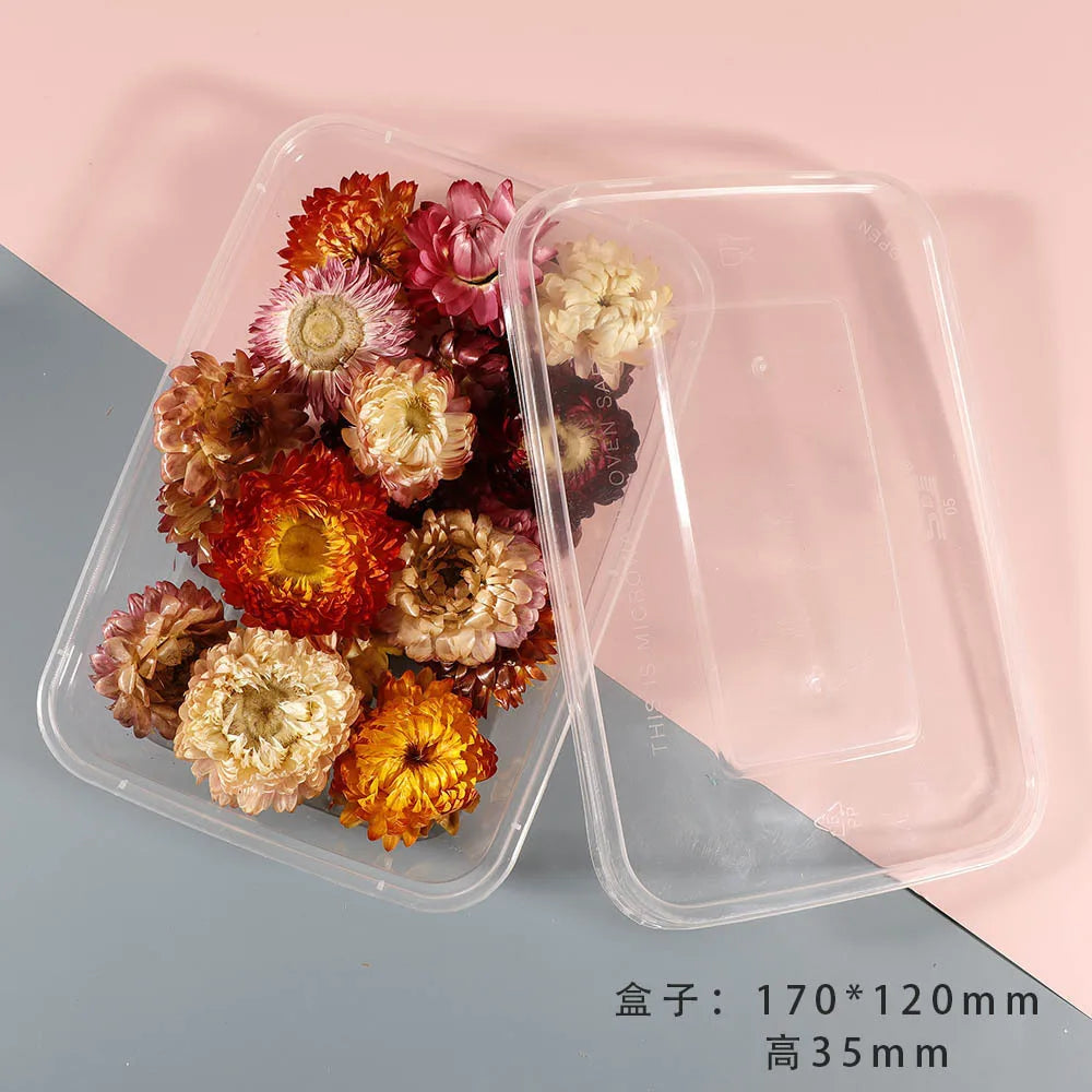 1Box Dried Flowers Dry Plants for Epoxy Resin Casting Mold DIY Aromatherapy Candle Molds Crafts Accessories