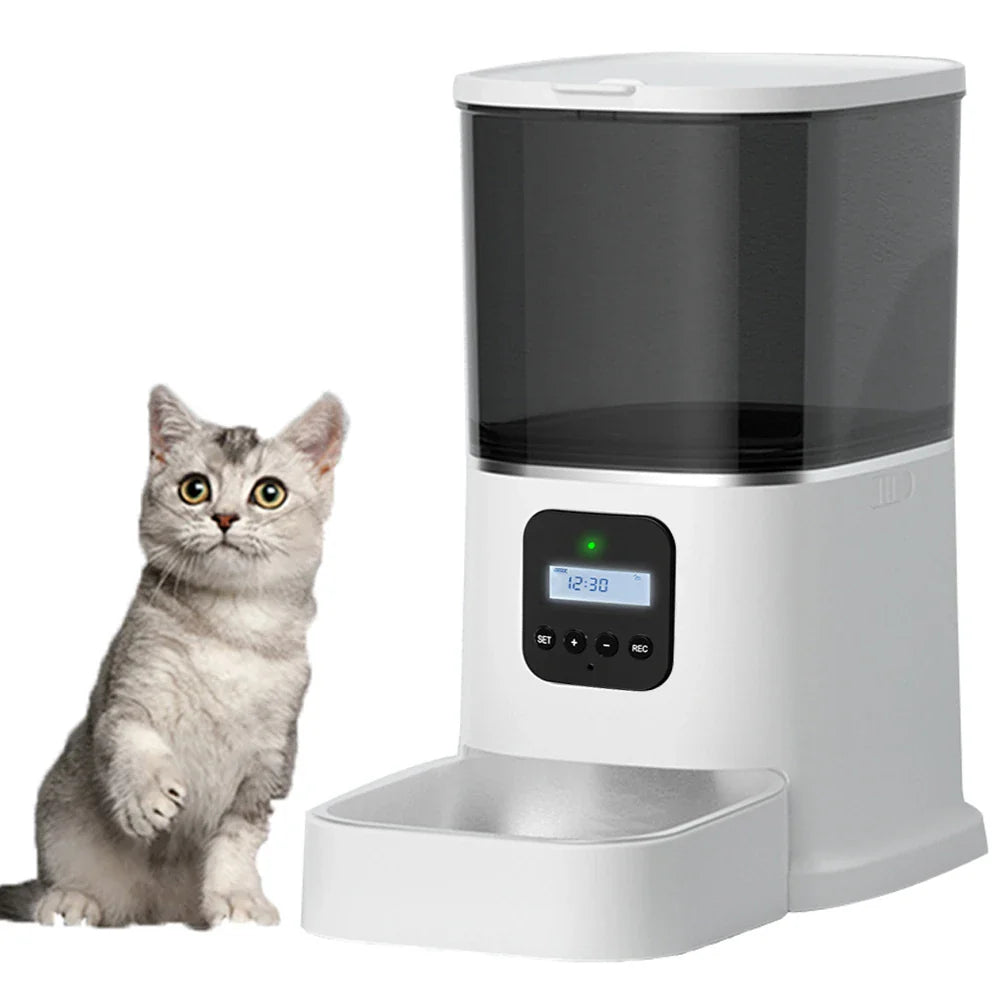 Iseebiz 3L Automatic Pet Feeder With Voice Record Pets Food Bowl For Medium Small Dog Cat LCD Screen Dispensers 4 Times One Day