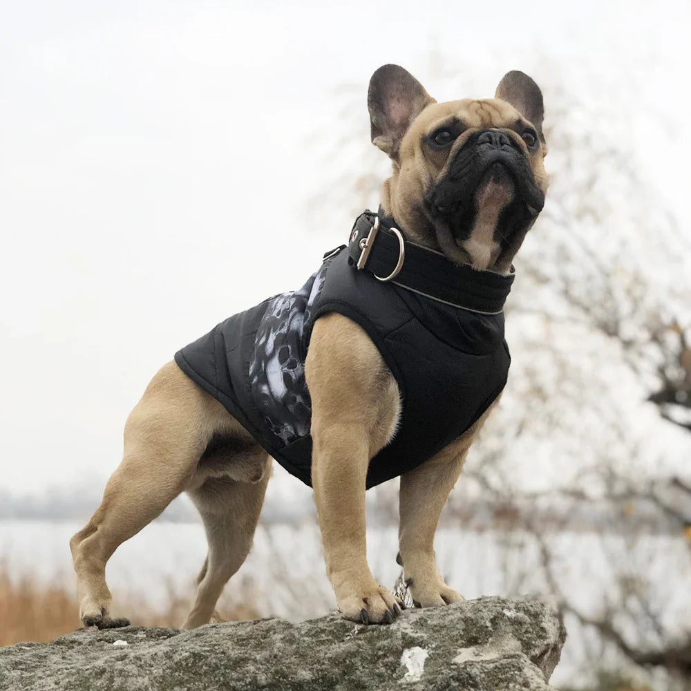 Winter Warm Dog Clothes For Small Dogs Pet Clothing Puppy Outfit Windproof Dog Jacket Chihuahua French Bulldog Coat Yorkies Vest