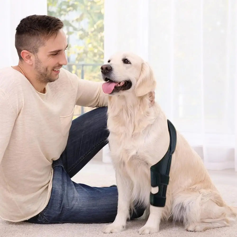 Dog Knee Protector Adjustable Black Dog Back Leg Brace Comfortable Knee Pad For Leg Injury Care Universal Leg Protector For