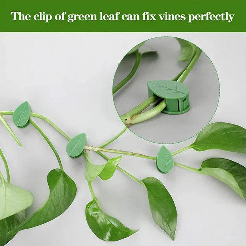 20pcs Plant Climbing Wall Fixture Rattan plants growth climb traceless vine fixing tool Self-Adhesive Green Clip Traction Holder