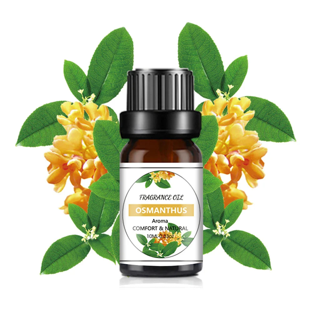 10ml Essential Oil Purifier Aroma Natural Plant Car Air Humidifier  Extraction Oil with Dropper for Diffuser for Home Appliance