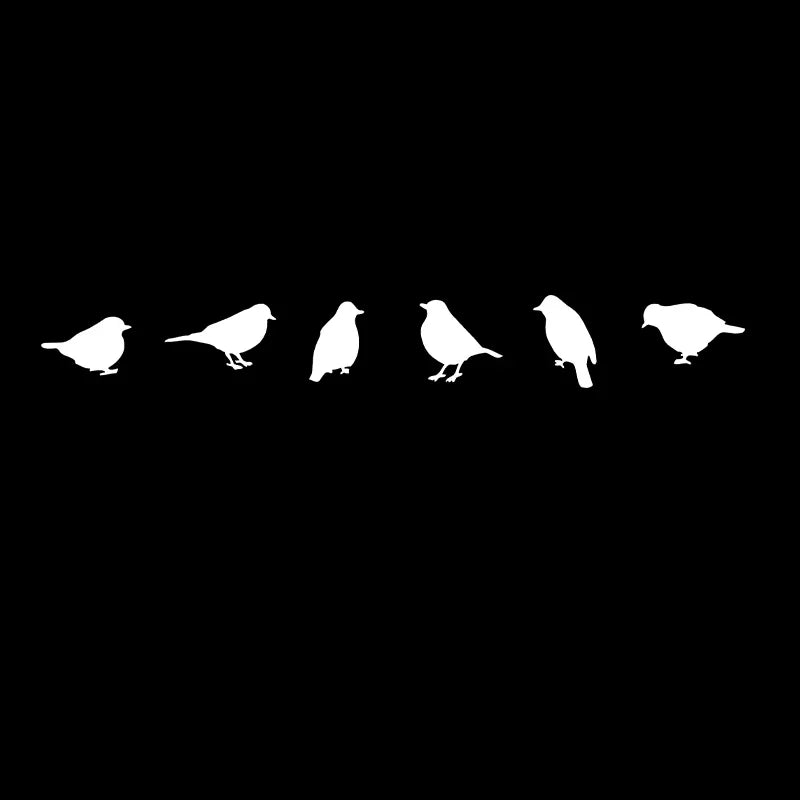 Birds Vinyl Wall Sticker Modern Home Decoration, DIY Creative Bird Decal For Car Window Laptop Decor
