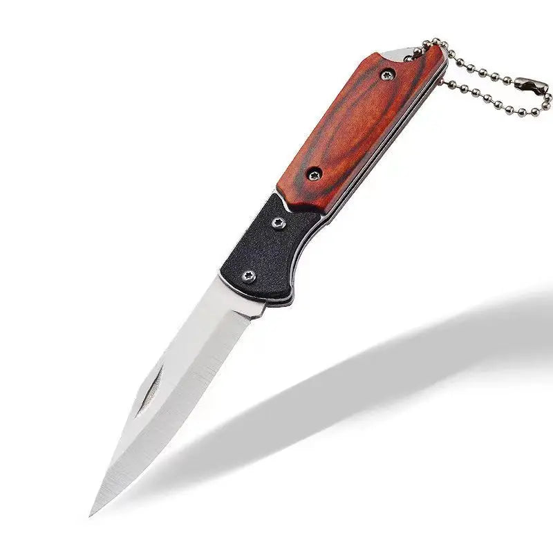 Folding Knife Stainless Steel Outdoor Knife Multifunctional Mini Knife Portable Keychain Fruit Knife