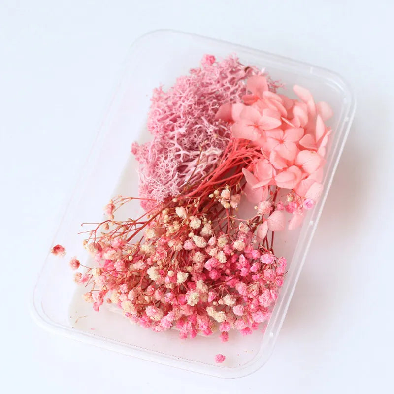 1Box Dried Flowers Dry Plants for Epoxy Resin Casting Mold DIY Aromatherapy Candle Molds Crafts Accessories