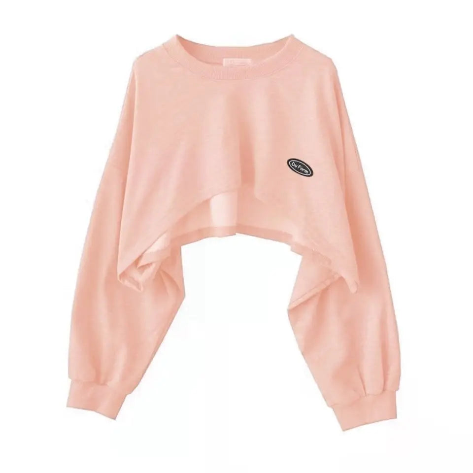 Two Piece Top Spring and Autumn Short Sweater Women's Spicy Girl Style Design Sense Bat Sleeve 2023 New Popular Coat