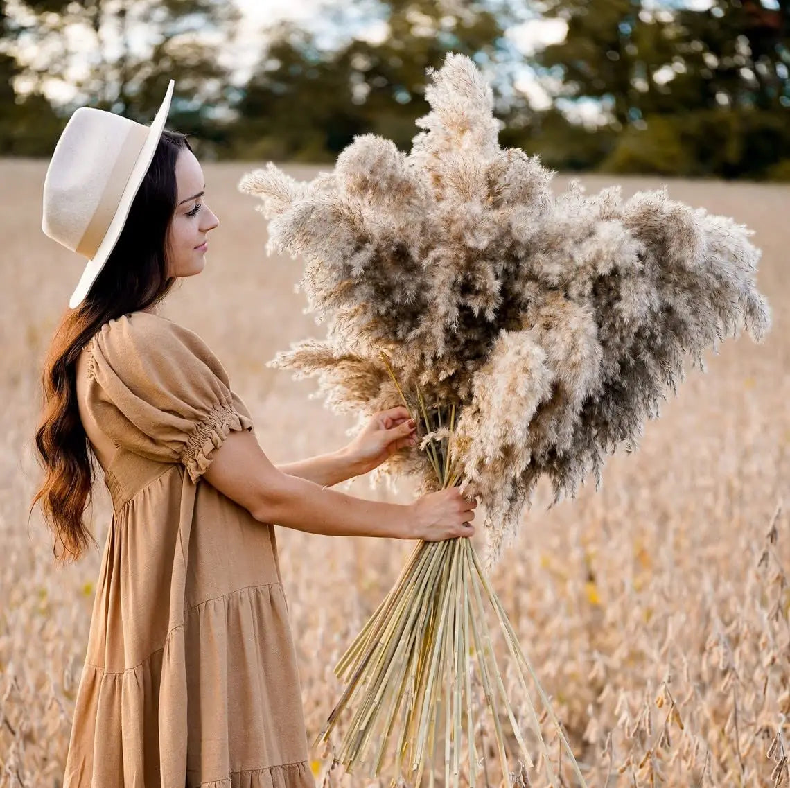 50-60cm Natural Fluffy Large Pampas Grass Wedding Arch Decor Dried Artificial Plants Pampas Home Decoration Outdoor Dry Flower