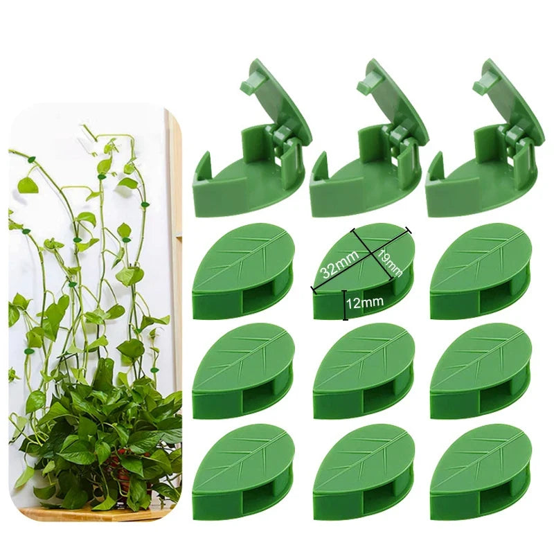 20pcs Plant Climbing Wall Fixture Rattan plants growth climb traceless vine fixing tool Self-Adhesive Green Clip Traction Holder