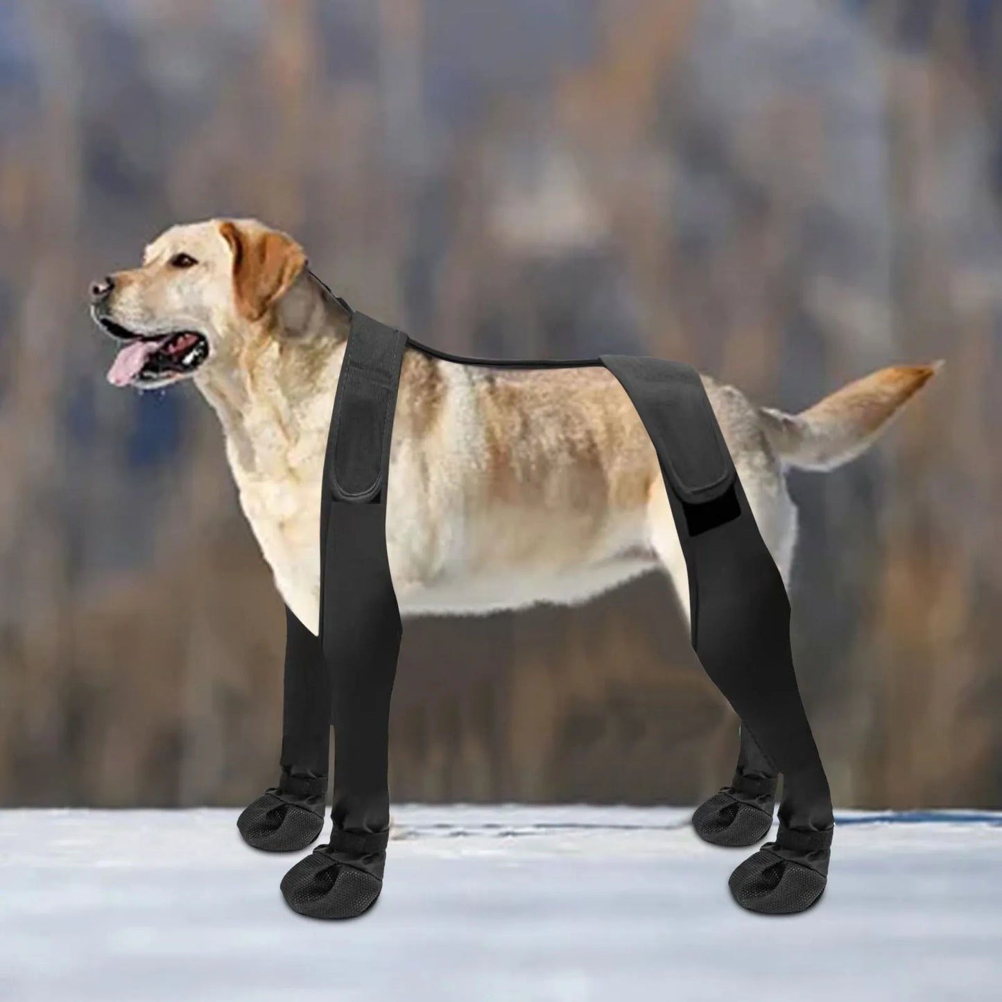 Going Out Dog Boots Dog Shoes Pet Supplies Dirty Dog Shoes Pet Protector All Seasons Pet Clothes For Small Dogs Non Shedding
