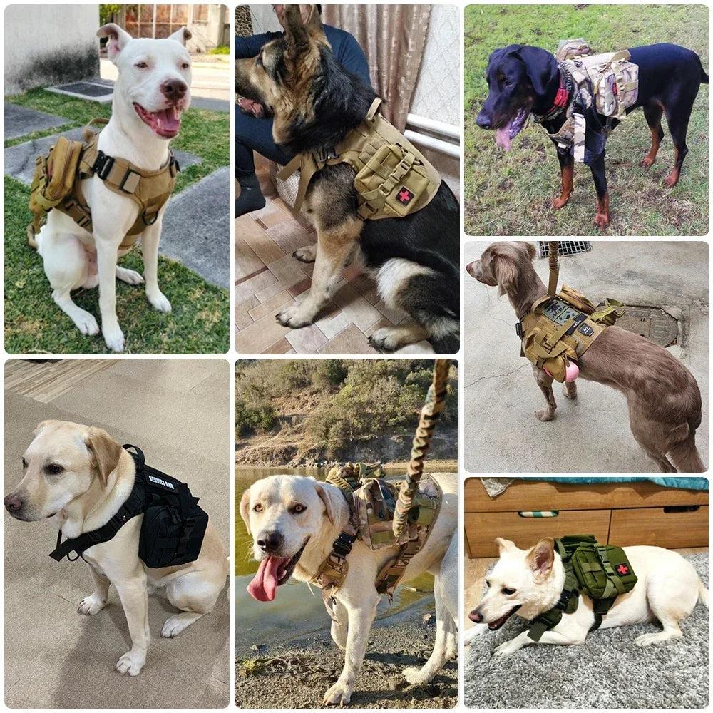 Tactical Vest Pet German Shepherd Golden Retriever Tactical Training Dog Harness and Leash Set For All Breeds Dogs