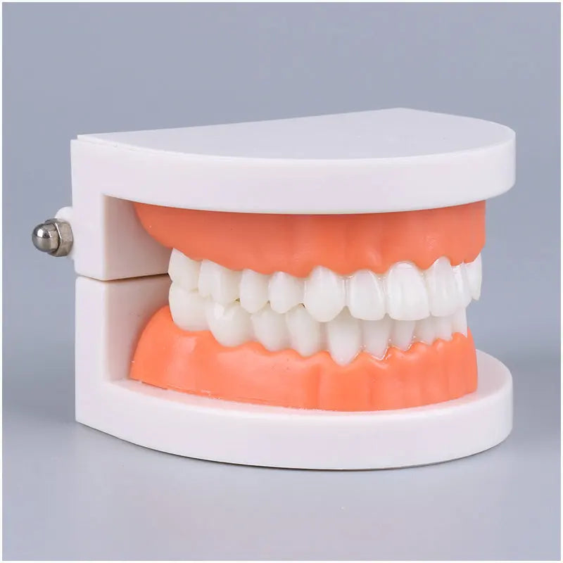Montessori Educational Toys for Children Early Learning Kids Intelligence Brushing Tooth Teaching Aids Simulated Practical Life