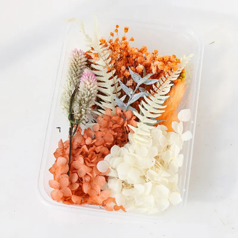 1Box Dried Flowers Dry Plants for Epoxy Resin Casting Mold DIY Aromatherapy Candle Molds Crafts Accessories