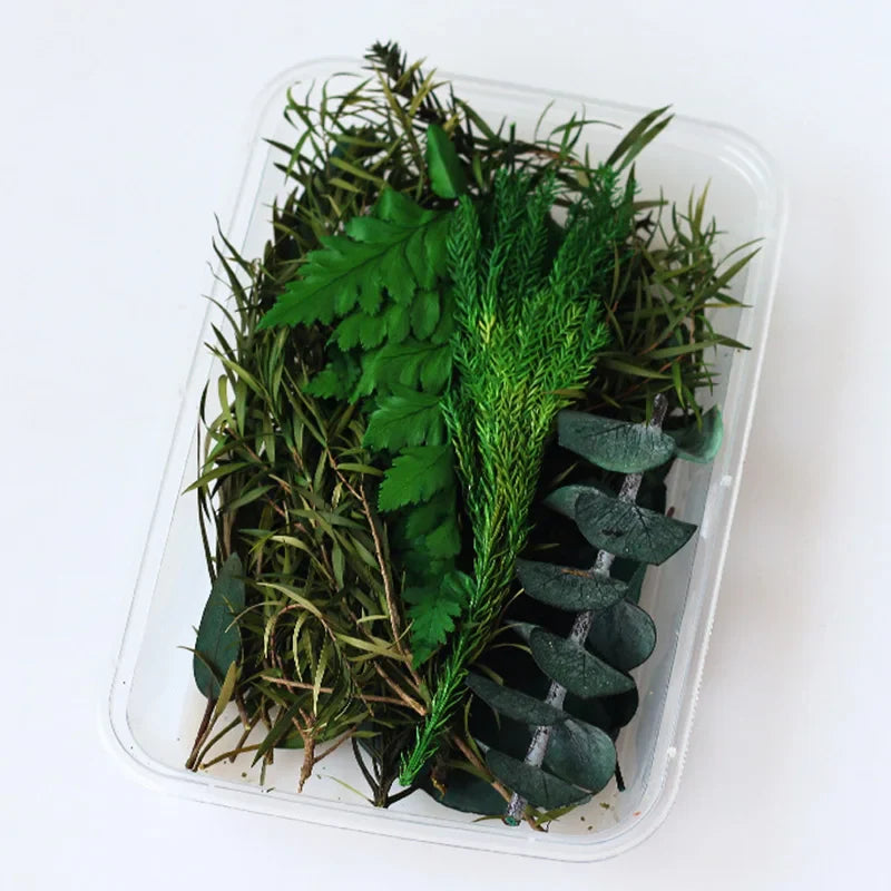 1Box Dried Flowers Dry Plants for Epoxy Resin Casting Mold DIY Aromatherapy Candle Molds Crafts Accessories