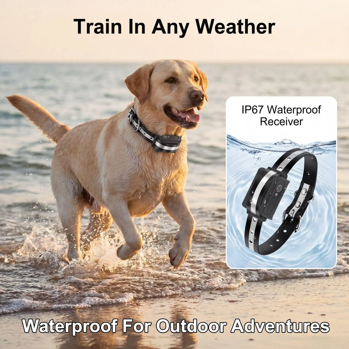 1000M Dog Training Collar IPX7 Waterproof Rechargeable Electric Shock Vibration Beep Remote Control Anti Bark for All Size Dogs