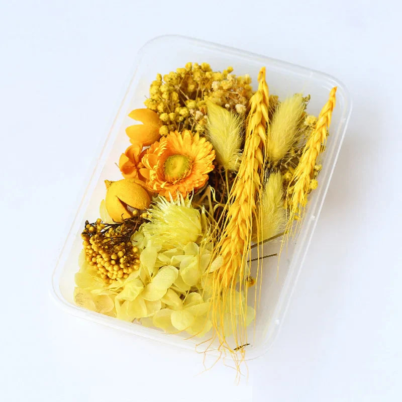 1Box Dried Flowers Dry Plants for Epoxy Resin Casting Mold DIY Aromatherapy Candle Molds Crafts Accessories