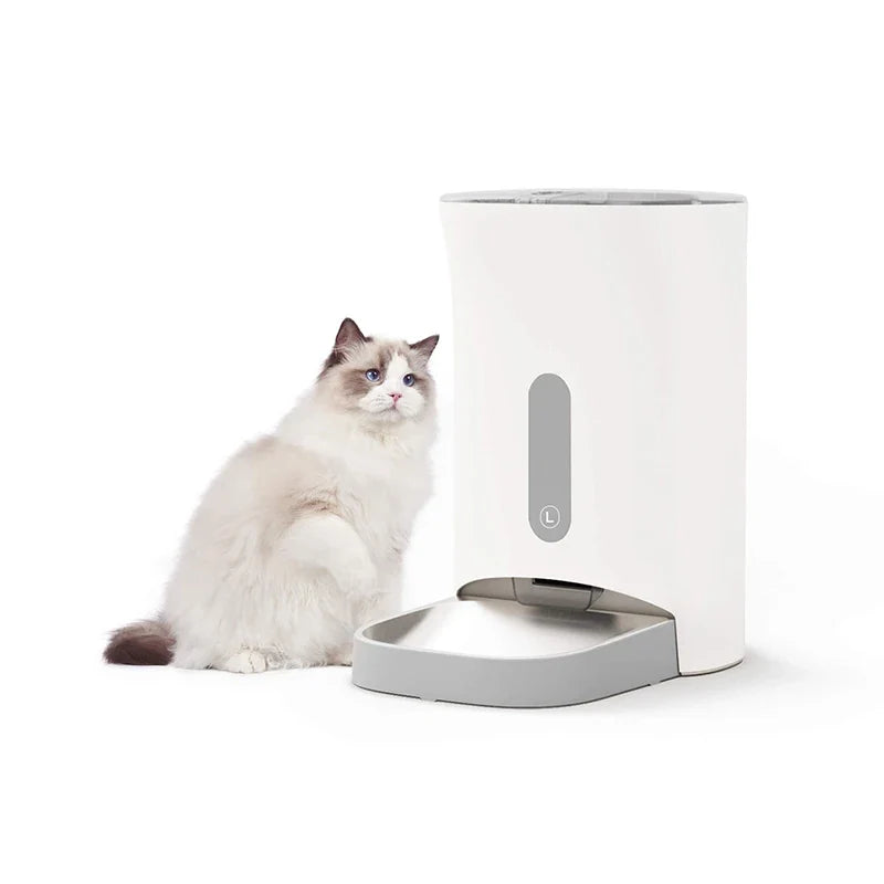 Automatic dog food dispenser with insect-proof seal and timed feeding; 4 meals/10-cup pet food dispenser