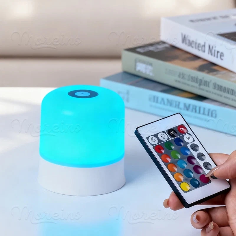 Rechargeable RGB 13 Color Changing Night Light Remote Control Touch USB Night Lamp Dimmable Lamp Portable Table Bedside Lamp