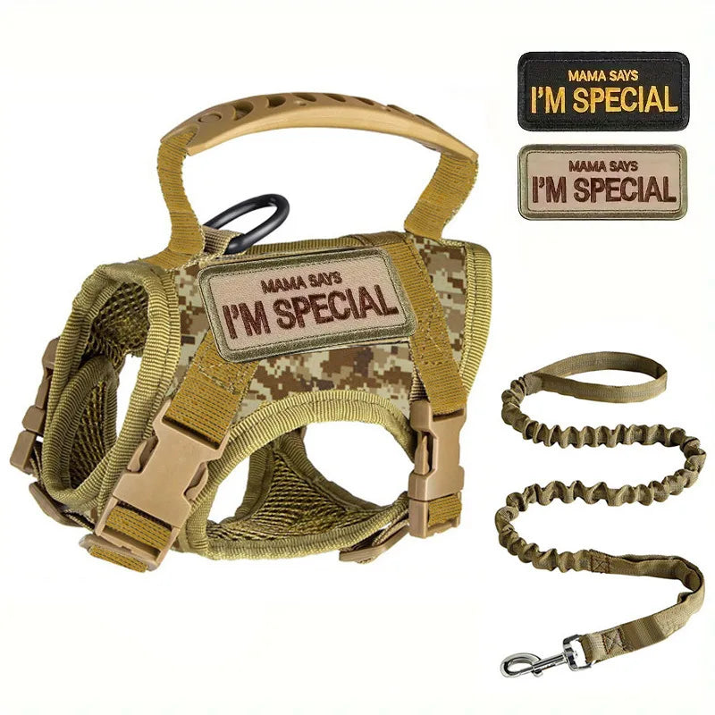 Tactical Military Vest Pet Tactical Training Cat Accessories Cat Dog Harness and Leash Set  Kitten Accessories