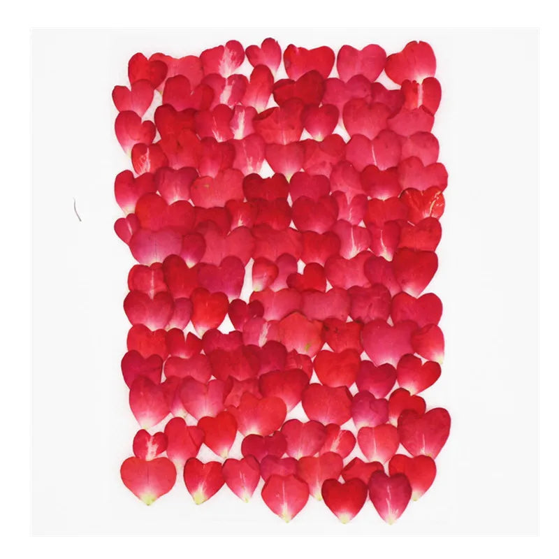 120Pcs Rose Petals Mixed Pack, Dried Flowers, Pressed Flowers, Handmade Resin Decorations, Nail Art, Face Stickers, Phone Case Materials