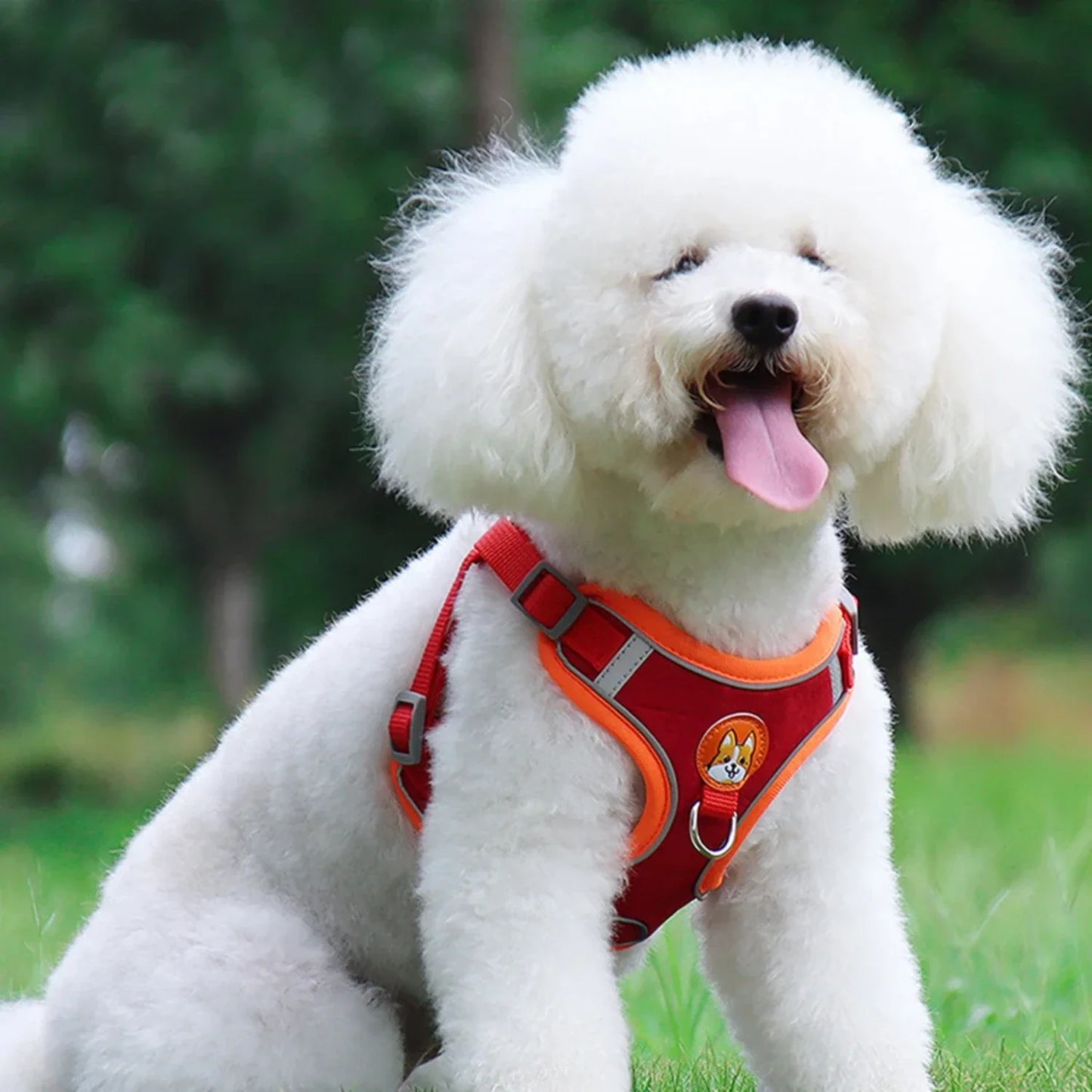 Dog Harness with 1.5m Traction Leash Set  Pull Dog Vest Strap Adjustable Reflective Breathable Harness  Dogs Puppy and Cats Flea