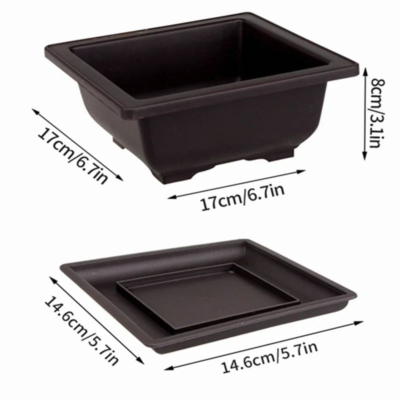 Rectangular Bonsai Training Pots Plastic Flowerpot with Drainage Tray Succulent Plants Pot Bonsai Plants Growing Pots Home Decor