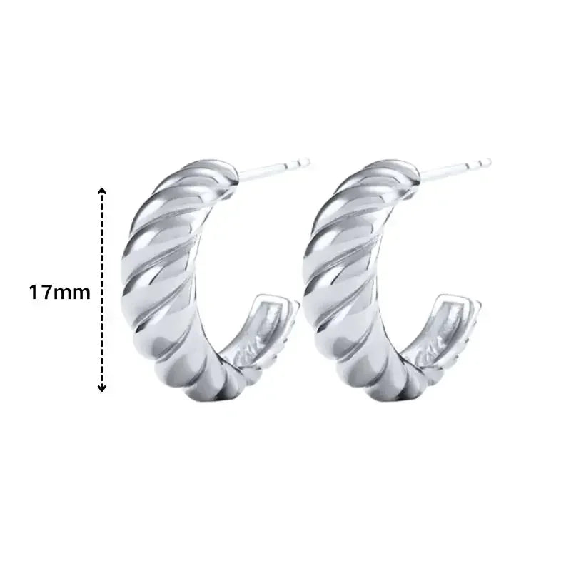 Cartilage 925 Silver Earrings Fashion C-shaped Zircon ear studs European American Geometric Piercing Earrings For Women Jewelry