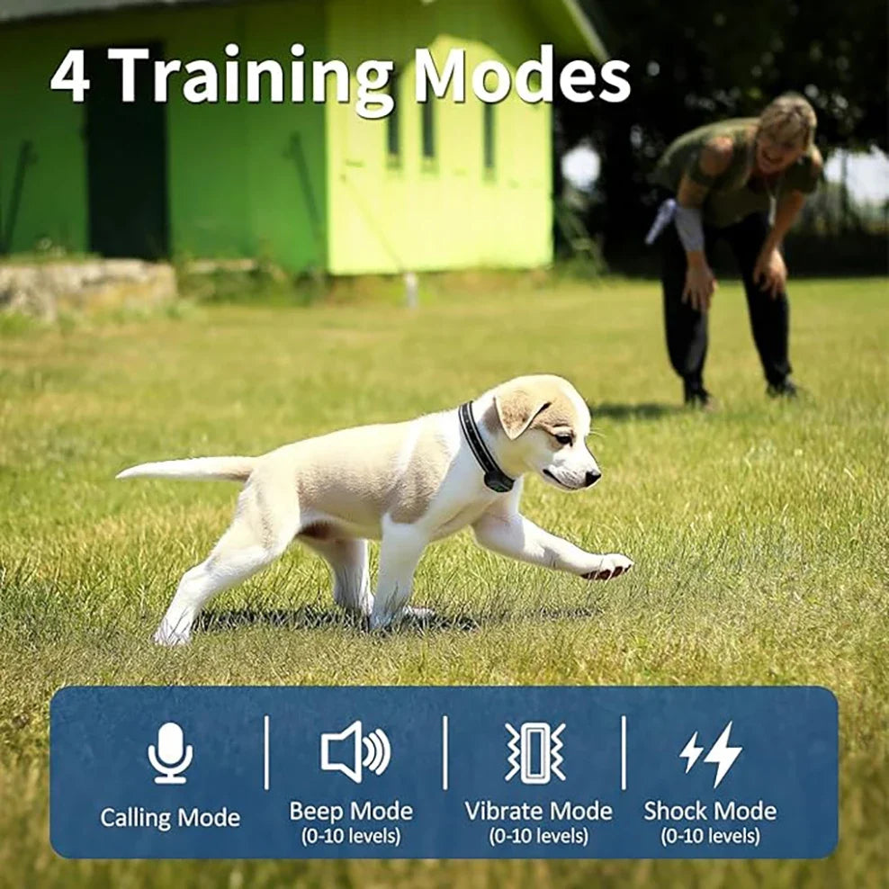 4 Working Modes Dog Training Collar（0-10 Levels）, 4900FT Remote Control, IP67 Waterproof  Rechargeable Collar for All Size Dogs