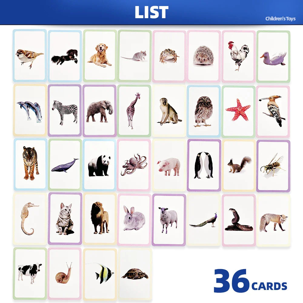 36 Double-Sided Animal Cognitive Cards, Kidsren's Enlightenment Picture Learning, Paper Fun Teaching Cards