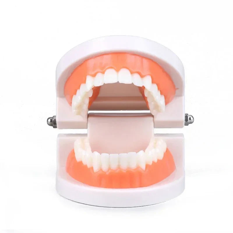 Montessori Educational Toys for Children Early Learning Kids Intelligence Brushing Tooth Teaching Aids Simulated Practical Life