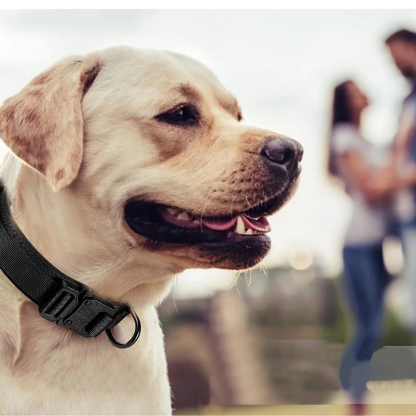Tactical Dog Collar Adjustable Military Training Nylon Dog Necklace with Control Handle Heavy Metal Buckle for Medium Large Dog