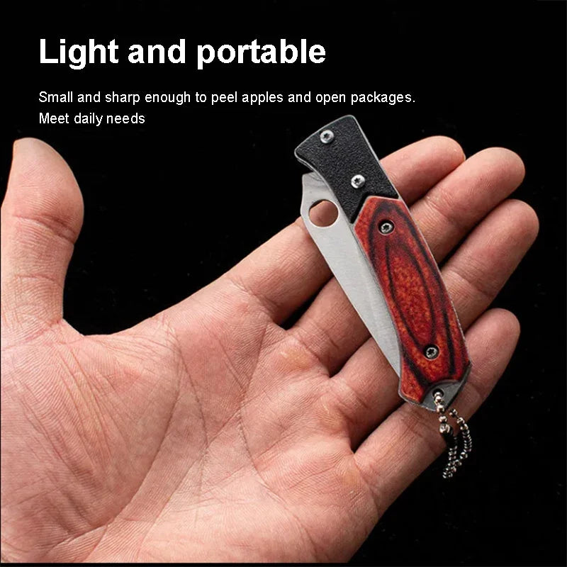 Folding Knife Stainless Steel Outdoor Knife Multifunctional Mini Knife Portable Keychain Fruit Knife