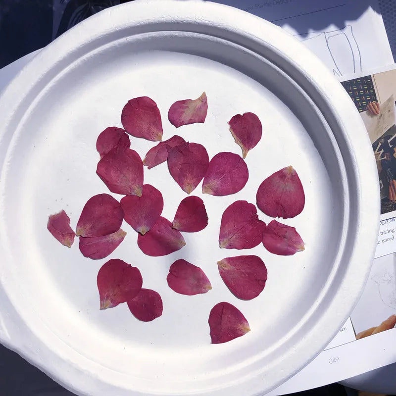 120Pcs Rose Petals Mixed Pack, Dried Flowers, Pressed Flowers, Handmade Resin Decorations, Nail Art, Face Stickers, Phone Case Materials